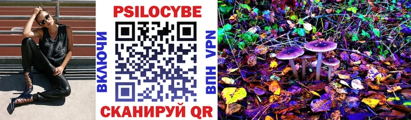 купить наркотик  Тула  Галлюциногенные грибы MAGIC MUSHROOMS 